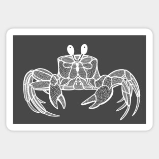 Cute Crab - detailed ghost crab drawing Sticker